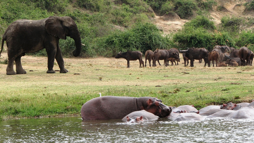 Queen-Elizabeth-National-Park4