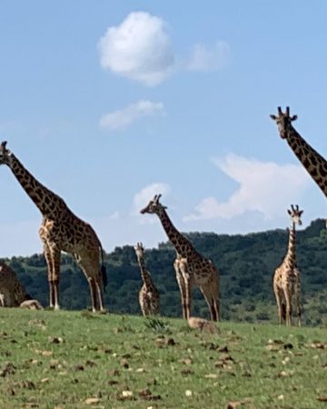 Lake Mburo National Park